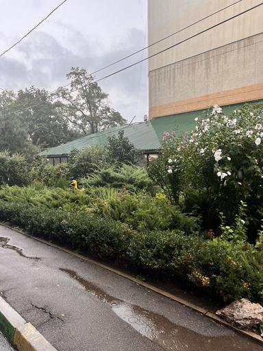 3-rooms apartment apartment by the address st. Lyustdorfskaya dor Chernomorskaya dor (area 110 m²) - Atlanta.ua - photo 45