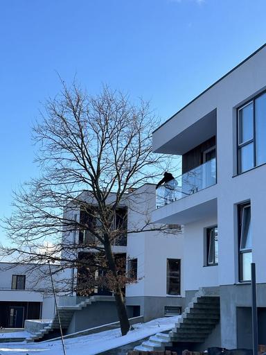 Будинок за адресою (площа 210 м²) - Atlanta.ua - фото 13