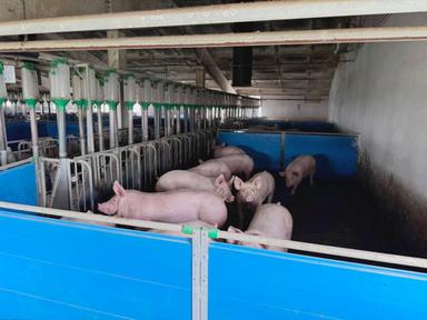 Комерційна нерухомість за адресою вул. Магістратська (площа 4120 м²) - Atlanta.ua - фото 19