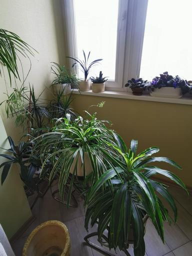 3-комнатная квартира по адресу Князя Святослава пл. (площадь 113 м²) - Atlanta.ua - фото 42