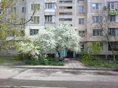 2-комнатная квартира по адресу (площадь 50 м²) - Atlanta.ua - фото 15