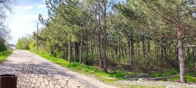 House by the address st. Vishnevaya (area 157 m²) - Atlanta.ua - photo 18