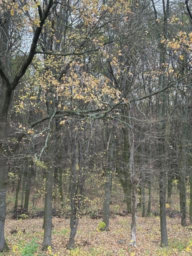 Будинок за адресою вул. Китобійна (площа 120 м²) - Atlanta.ua - фото 28