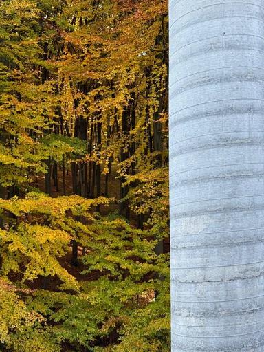 Дом по адресу Пасечная ул.   (площадь 500 м²) - Atlanta.ua - фото 22