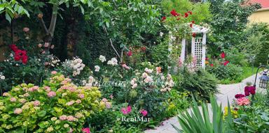 Будинок за адресою вул. Спортивна (площа 550 м²) - Atlanta.ua - фото 26