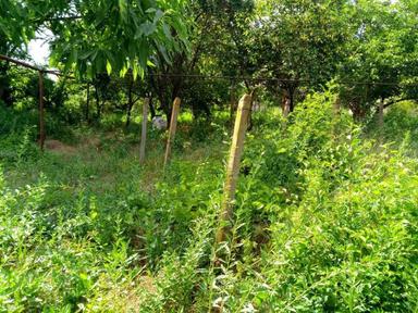 House by the address st. Tankistov (area 50 m²) - Atlanta.ua - photo 18