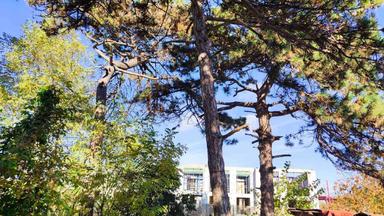 Будинок за адресою Небесної сотні пр. (площа 102 м²) - Atlanta.ua - фото 22