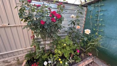 House by the address st. Zhitomirskaya Ulitina (area 40,9 m²) - Atlanta.ua - photo 17