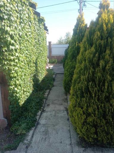 Дом по адресу ул. Приморская (площадь 120 м²) - Atlanta.ua - фото 17