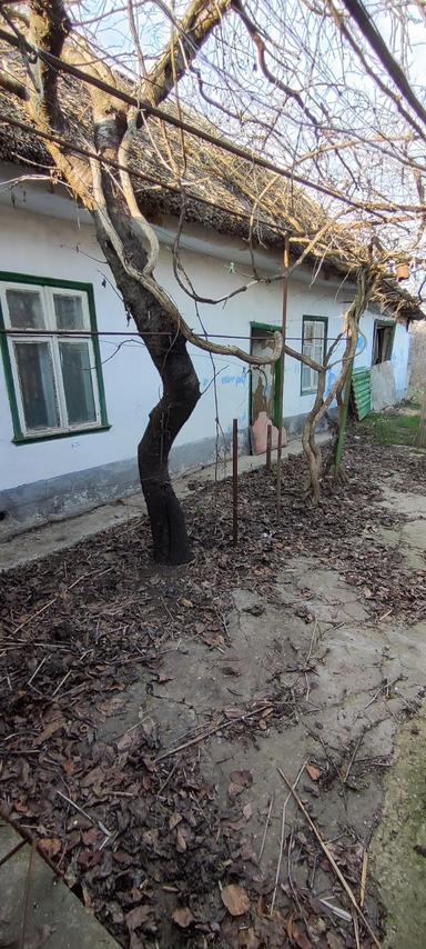 Будинок за адресою (площа 65 м²) - Atlanta.ua - фото 20