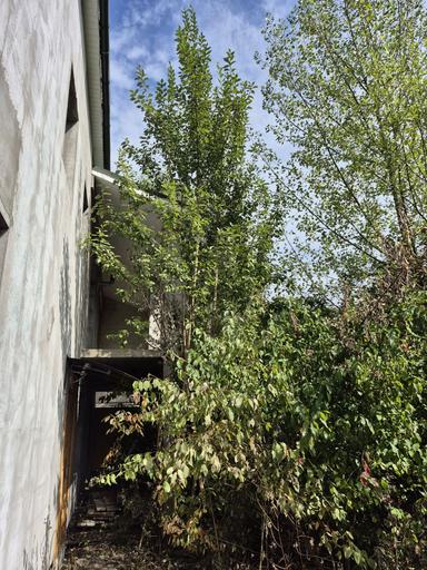 Дом по адресу Петефі Шандора пл. (площадь 406 м²) - Atlanta.ua - фото 31