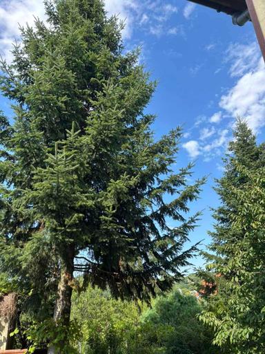 Будинок за адресою вул. Капеланська (площа 297 м²) - Atlanta.ua - фото 27