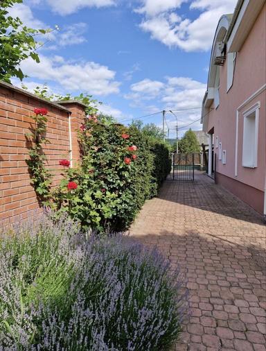 Дом по адресу ул. Mock (площадь 168 м²) - Atlanta.ua - фото 27