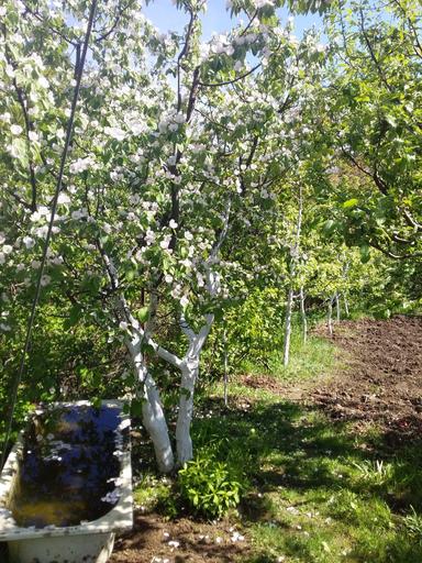 Дом по адресу (площадь 37 м²) - Atlanta.ua - фото 28