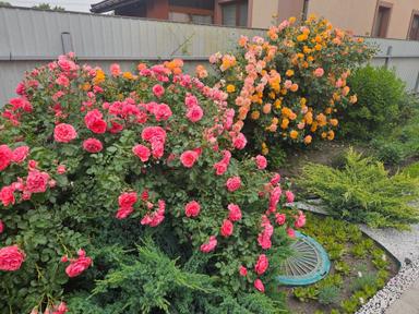 Дом по адресу (площадь 190 м²) - Atlanta.ua - фото 47