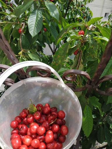 Дом по адресу (площадь 273,8 м²) - Atlanta.ua - фото 40