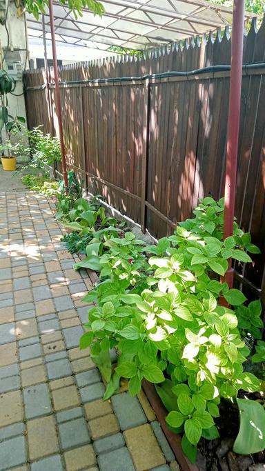 Будинок за адресою вул. Танкістів (площа 40 м²) - Atlanta.ua - фото 25