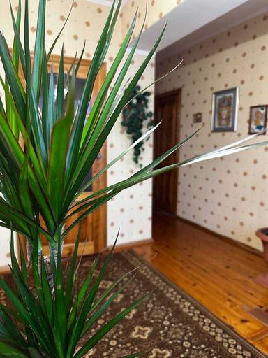 Дом по адресу ул. Китобойная (площадь 160 м²) - Atlanta.ua - фото 43