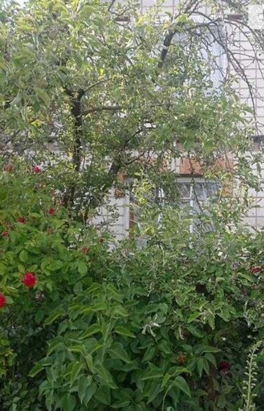 Дом по адресу ул. Магистратская (площадь 55 м²) - Atlanta.ua - фото 18