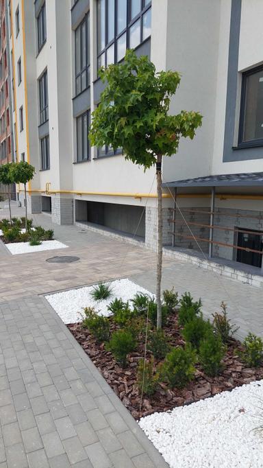 2-rooms apartment apartment by the address (area 73 m²) - Atlanta.ua - photo 22