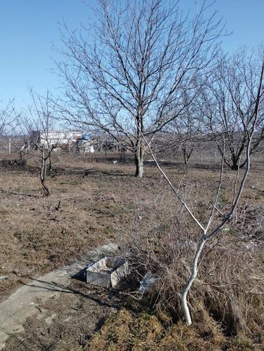 Дом по адресу (площадь 48 м²) - Atlanta.ua - фото 11