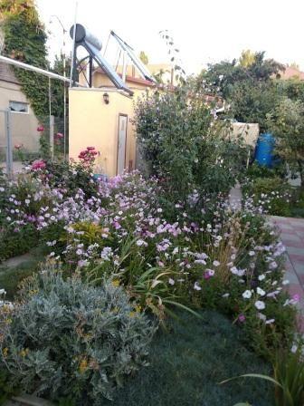 Дом по адресу (площадь 147 м²) - Atlanta.ua - фото 37