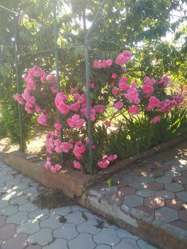 Дом по адресу (площадь 159 м²) - Atlanta.ua - фото 30