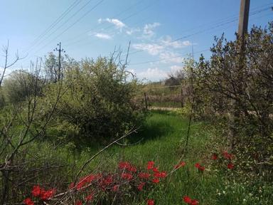 Будинок за адресою (площа 40 м²) - Atlanta.ua - фото 6