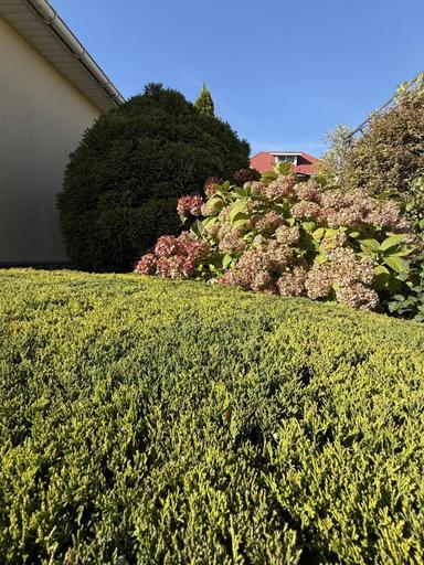 Дом по адресу (площадь 520 м²) - Atlanta.ua - фото 48