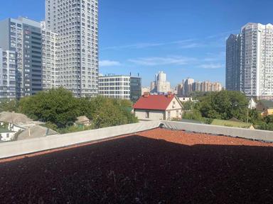 Дом по адресу (площадь 500 м²) - Atlanta.ua - фото 38