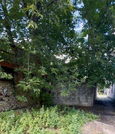 Commercial real estate at (area 250 m²) - Atlanta.ua - photo 20