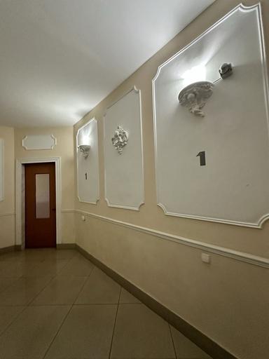 Многокомнатная квартира по адресу Каркашадзе пер. (площадь 290 м²) - Atlanta.ua - фото 11