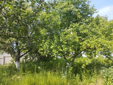 Дом по адресу ул. Добробутна (площадь 95 м²) - Atlanta.ua - фото 28