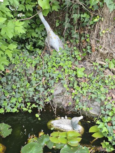 Дом по адресу Петефі Шандора пл. (площадь 61 м²) - Atlanta.ua - фото 28