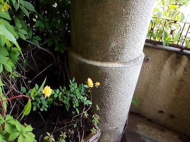 Многокомнатная квартира по адресу ул. Бандеры С. Ул (площадь 117 м²) - Atlanta.ua - фото 29