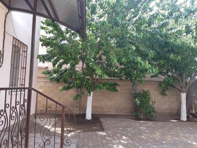 Будинок за адресою Куликове поле пл. (площа 120 м²) - Atlanta.ua - фото 29