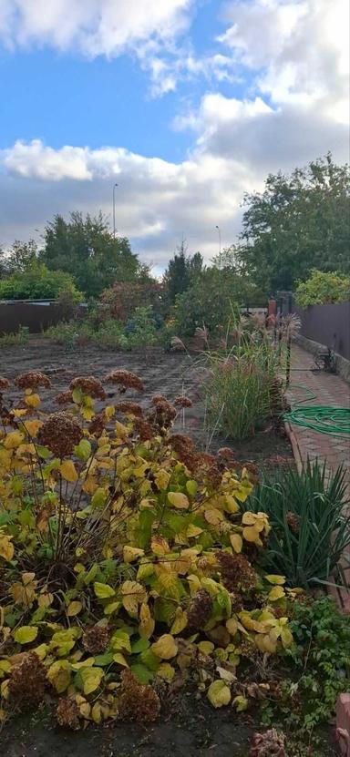 Дом по адресу ул. Бандеры Степана (площадь 130 м²) - Atlanta.ua - фото 37