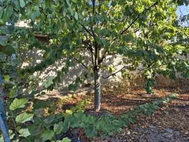 House by the address st. Primorskaya (area 70 m²) - Atlanta.ua - photo 28