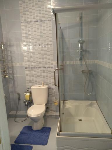 Многокомнатная квартира по адресу (площадь 210 м²) - Atlanta.ua - фото 30