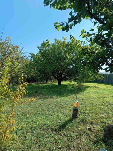 House by the address (area 298 m²) - Atlanta.ua - photo 26