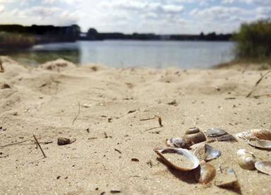 2-комнатная квартира по адресу ул. Васильковская (площадь 44,6 м²) - Atlanta.ua - фото 19