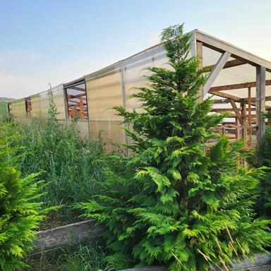 Дом по адресу ул. Капеланська (площадь 1,8 м²) - Atlanta.ua - фото 16