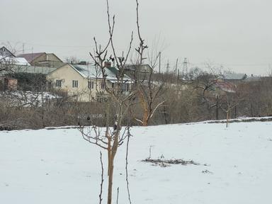 Дом по адресу ул. Китобойная (площадь 104 м²) - Atlanta.ua - фото 32