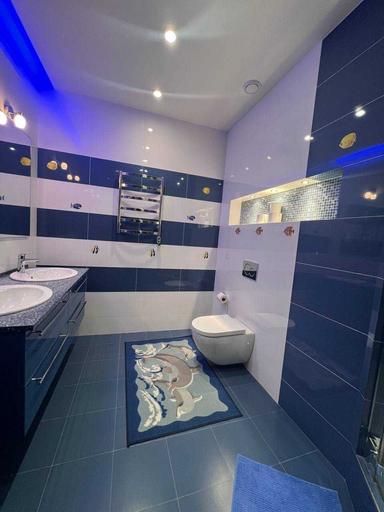 Многокомнатная квартира по адресу ул. Шолуденка (площадь 275 м²) - Atlanta.ua - фото 46