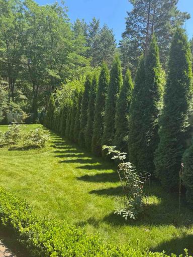 Дом по адресу ул. Лукьяненко Левка(Тимошенко) (площадь 150,5 м²) - Atlanta.ua - фото 35