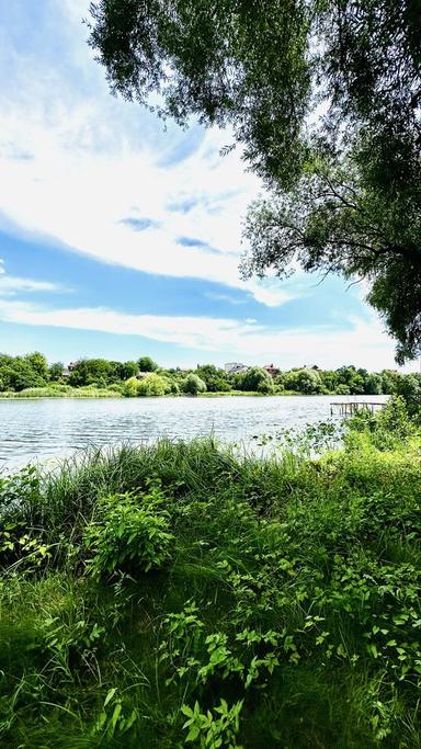 Дом по адресу (площадь 250 м²) - Atlanta.ua - фото 28