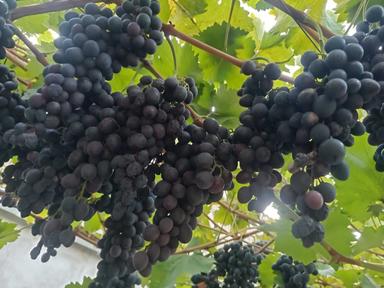 House by the address (area 80 m²) - Atlanta.ua - photo 18