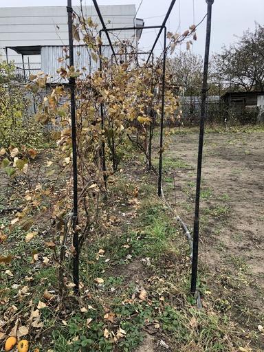 Дом по адресу ул. Приморская (площадь 25 м²) - Atlanta.ua - фото 12