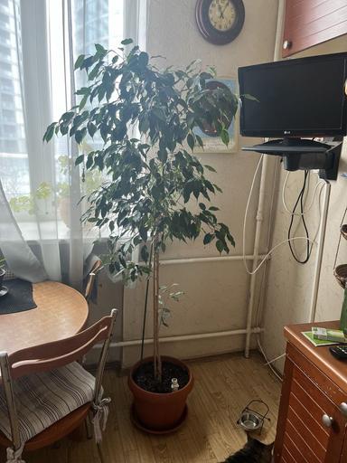 3-кімнатна квартира за адресою вул. Іоанна Павла II (площа 76,7 м²) - Atlanta.ua - фото 21