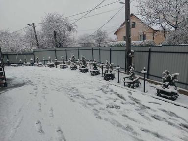 Коммерческая недвижимость по адресу ул. Капеланська (площадь 180 м²) - Atlanta.ua - фото 35